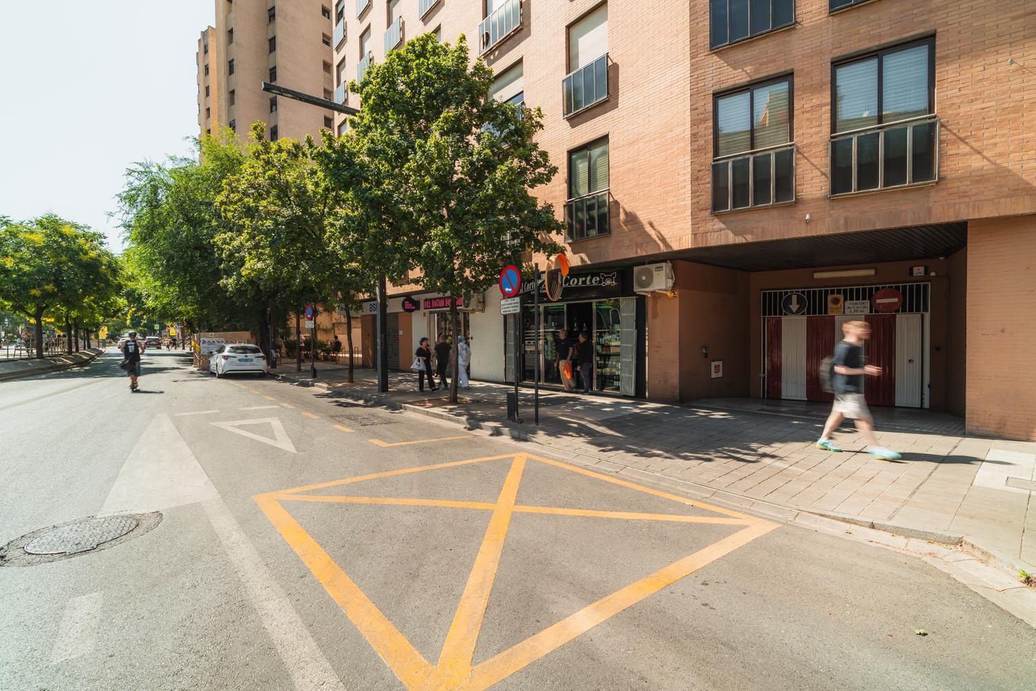 גרנדה Constitucion Apartment - Free Parking מראה חיצוני תמונה